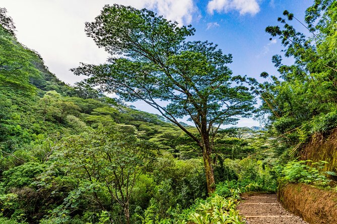 PRIVATE TOUR-Hike Diamond Head & Hawaiian Waterfall - Two sides of Oahu before the day heats up