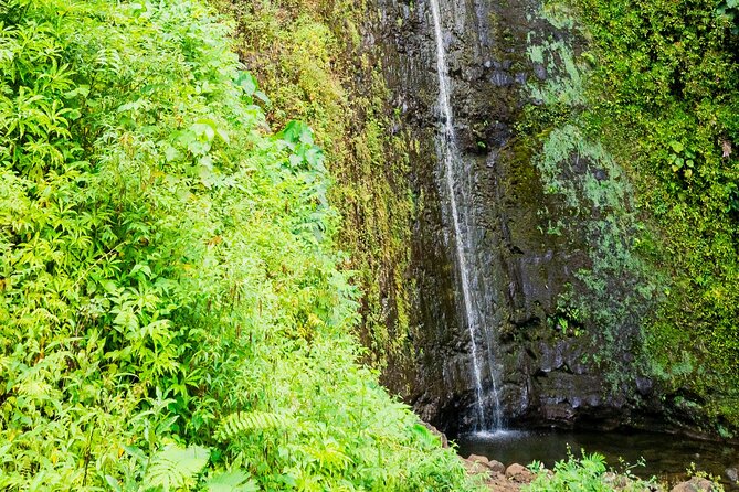 PRIVATE TOUR-Hike Diamond Head & Hawaiian Waterfall - Austin’s guiding style is a major part of the value
