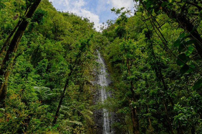 PRIVATE TOUR-Hike Diamond Head & Hawaiian Waterfall - Food, water, and what to bring