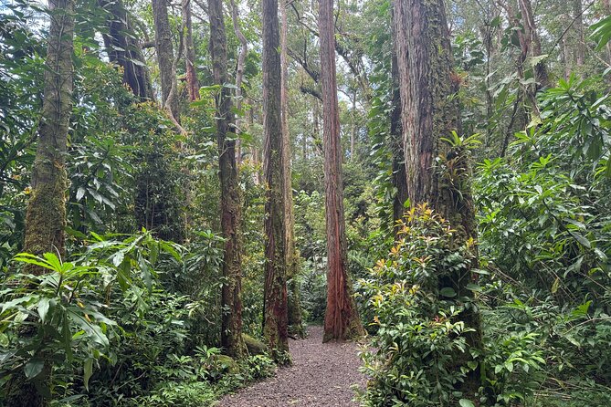 PRIVATE TOUR-Hike Diamond Head & Hawaiian Waterfall - Is $107 a fair price for a private six-hour tour?
