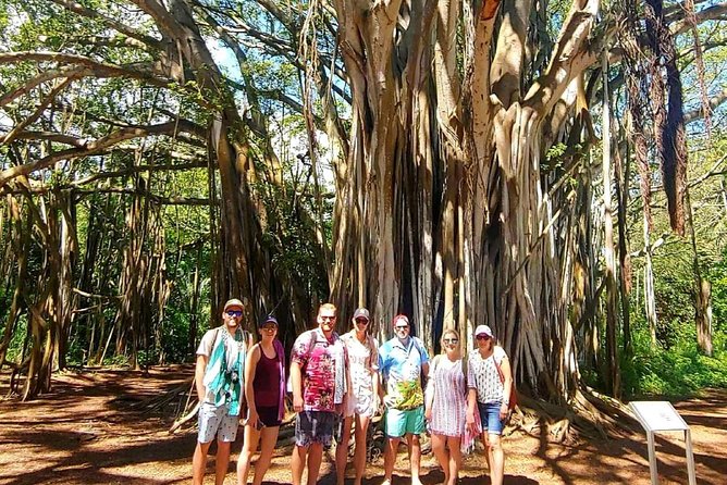 Private Tour Oahu Circle Island - Fully Personalized Experience - How to plan a better custom day