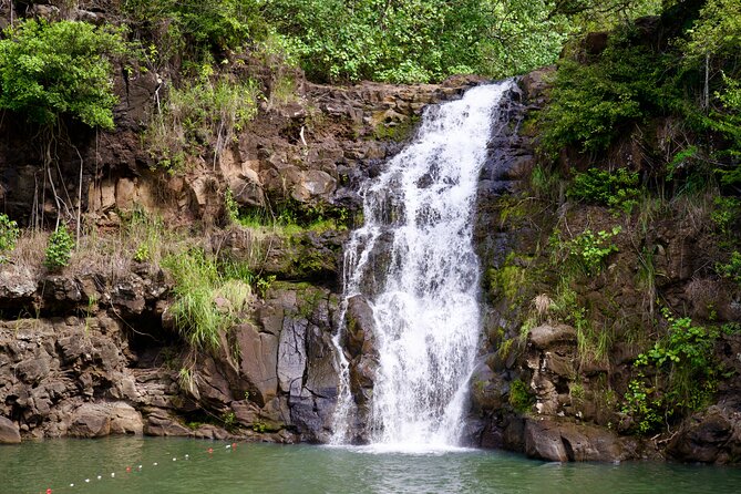 Private Tour Oahu including Waimea Waterfall-Customizable - Why a private North Shore day can be worth the price