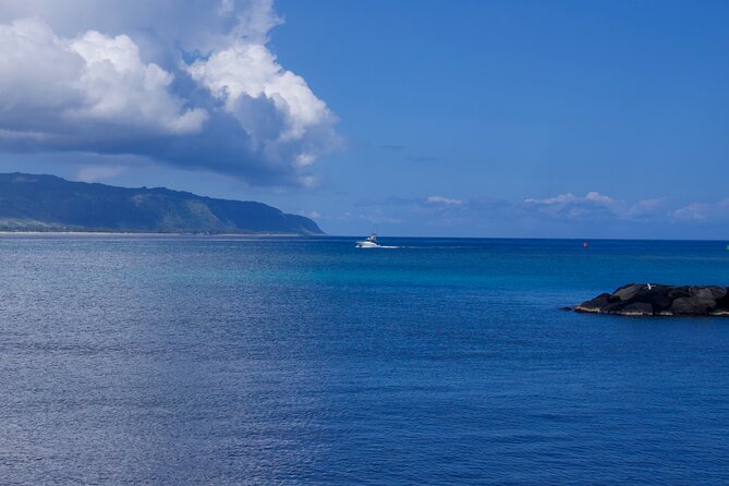 Private Tour Oahu including Waimea Waterfall-Customizable - Waimea Valley and the waterfall