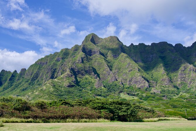 Private Tour Oahu including Waimea Waterfall-Customizable - Watching for monk seals along the northeastern coast