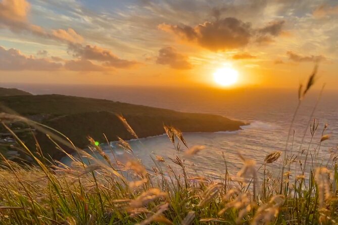 Private Tour Oahu - up to 6 passengers - Customizable - Makapuʻu Point and the long Windward Coast drive
