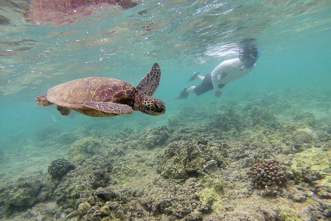 Private Tour of Oahu for 6 to 11 people - up to 8 hours - Snorkeling equipment and other details to clarify