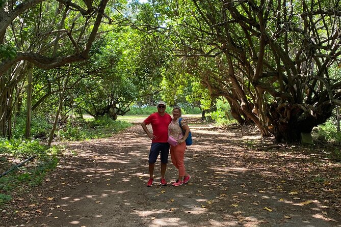 PRIVATE TOUR-Ultimate North Shore Experience - A short look at Haleiwa Town Center