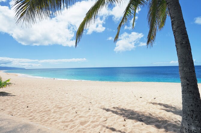 PRIVATE TOUR-Ultimate North Shore Experience - Kawela Bay for coast and turtles