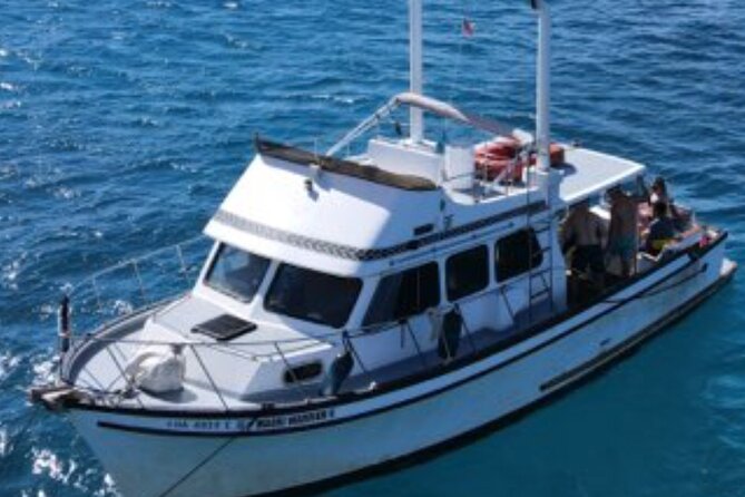 Private Turtle Canyon Snorkel Tour - Up to 6 Passengers - What the crew adds to the outing