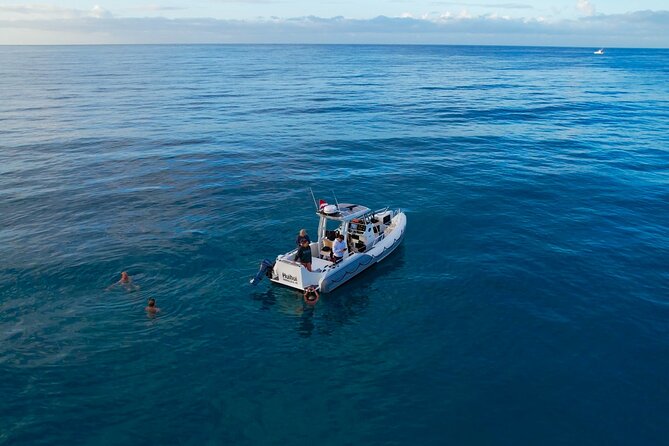 Private Turtle Snorkel & Cruise Waikiki - What is included, and what you need to bring