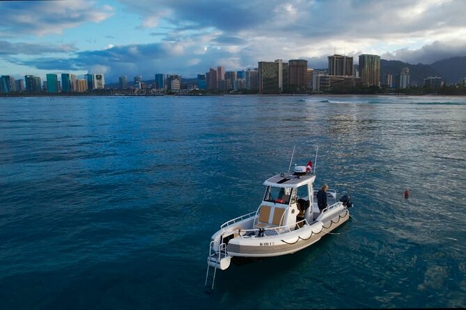 Private Turtle Snorkel & Cruise Waikiki - Who will get the most from this Waikiki outing