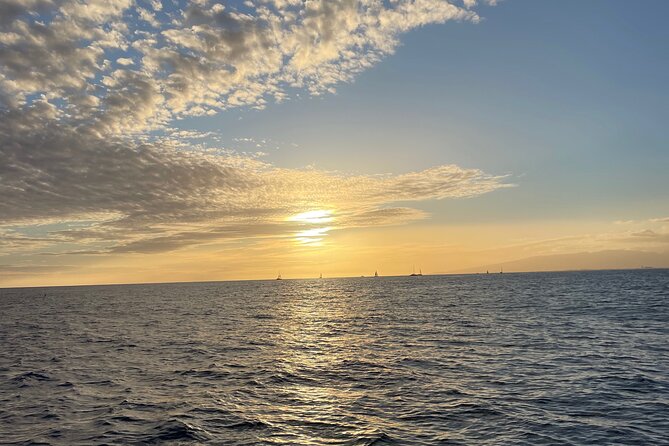 Private Waikiki Boat Charter – Create Your Own Ocean Experience - Snorkeling, wildlife, and realistic expectations