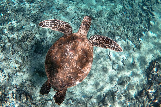 Private Waikiki Boat Charter – Create Your Own Ocean Experience - Getting there and planning the day