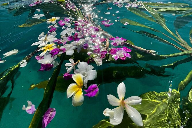 Private Waikiki Boat Charter – Create Your Own Ocean Experience - Who should book this Waikiki charter?