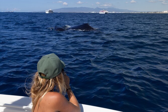 Private Whale Watching Activity: 6 passengers max - Comfort, access, and what to bring