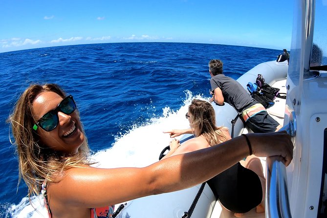 Private Whale Watching Adventure - Leaving Waikiki from Ala Wai Harbor