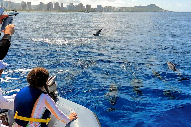 Private Whale Watching Adventure - Who should book this Oahu whale watch