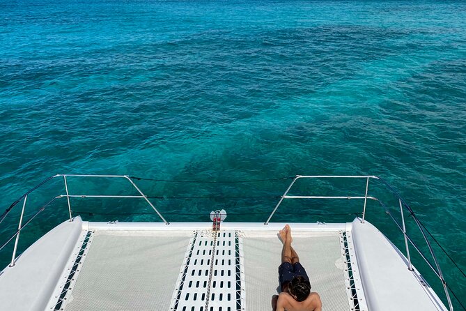 Private Whale Watching and Coastal Swimming Tour Honolulu - Swimming and snorkeling with turtles and fish