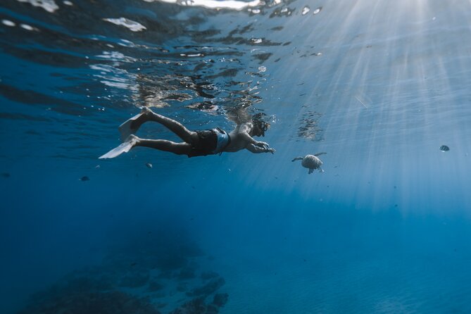Private Whale Watching and Coastal Swimming Tour Honolulu - Is $749 a fair price for two hours?