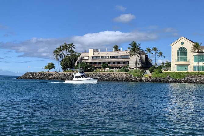 Private Whale Watching and Dolphin Excursion - The boat, the captain, and the biggest quality question