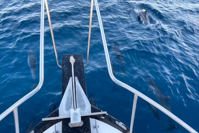 Private Whale Watching and Dolphin Excursion - Views that remain worthwhile without whales