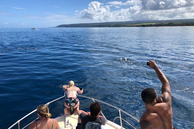 Private Whale Watching Safari from North Shore Oahu - Who will enjoy this North Shore outing most