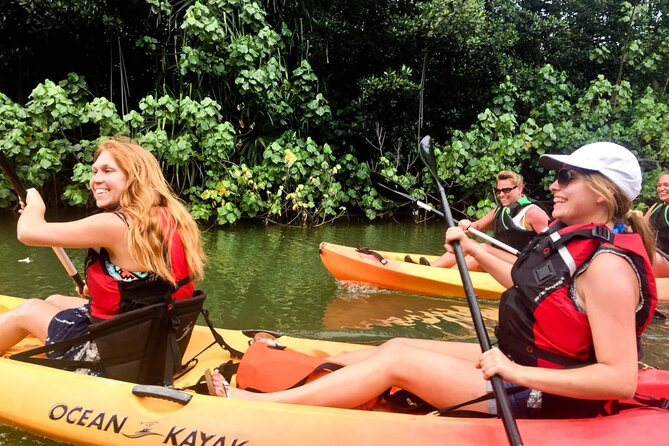 Rainforest River Kayak Self-Guided Kayak Tour - Finding the quieter upper section