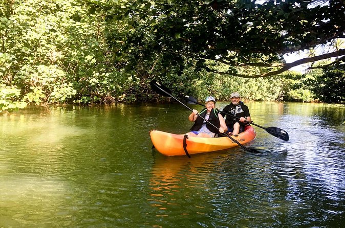 Rainforest River Kayak Self-Guided Kayak Tour - What the self-guided format really gives you