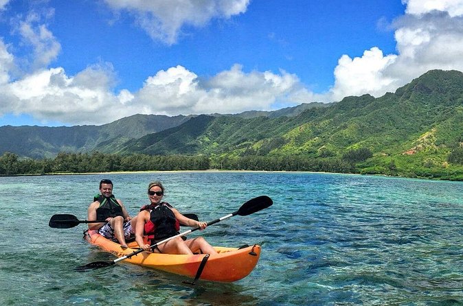 Rainforest River Kayak Self-Guided Kayak Tour - Is $82 a fair price?
