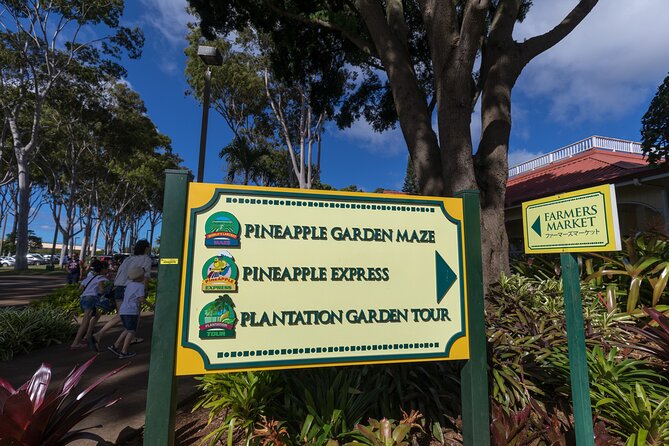 Real Hawaii Circle Island Tour - Diamond Head and Hanauma Bay set the tone