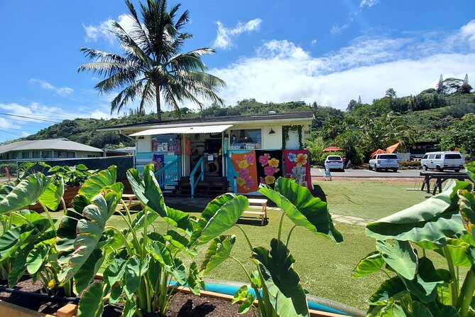 Round Trip North Shore Shuttle from Waikiki to Haleiwa Town / Haleiwa Harbor - Why this shuttle works for a North Shore day