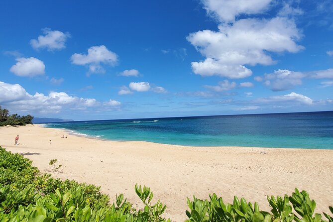 Round Trip North Shore Shuttle from Waikiki to Haleiwa Town / Haleiwa Harbor - Haleiwa Harbor: a calmer second stop