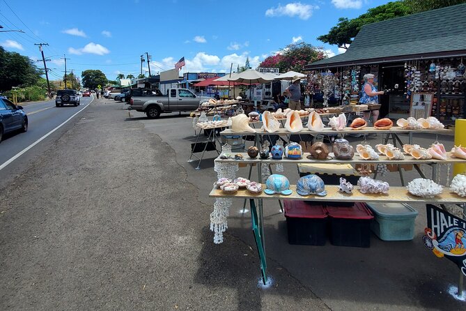 Round Trip North Shore Shuttle from Waikiki to Haleiwa Town / Haleiwa Harbor - Waimea Valley, Shark’s Cove, and the famous surf coast