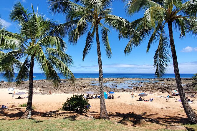 Round Trip North Shore Shuttle from Waikiki to Haleiwa Town / Haleiwa Harbor - Comfort, group size, and physical demands