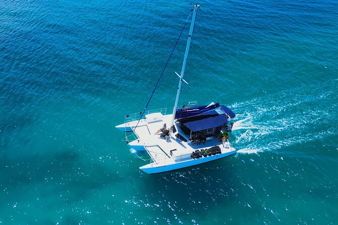 Sail and Turtle Snorkeling Tour in Waikiki - What you might see beneath the surface