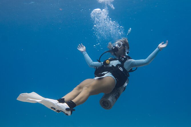 Scuba Dive at Electric Beach - What the private format changes