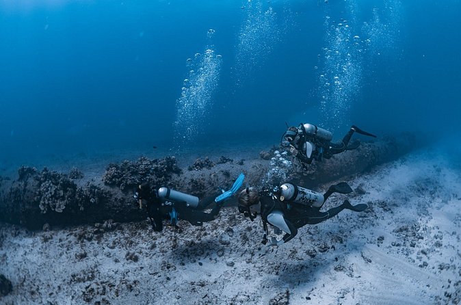 Scuba Dive at Electric Beach - The underwater photos add real value