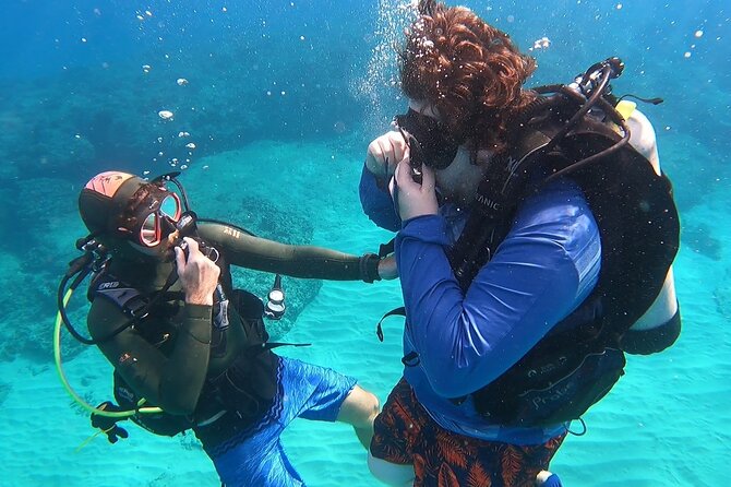 SCUBA Dive at Electric Beach with Photos -No Certification Needed - Why Electric Beach appeals to first-time scuba participants