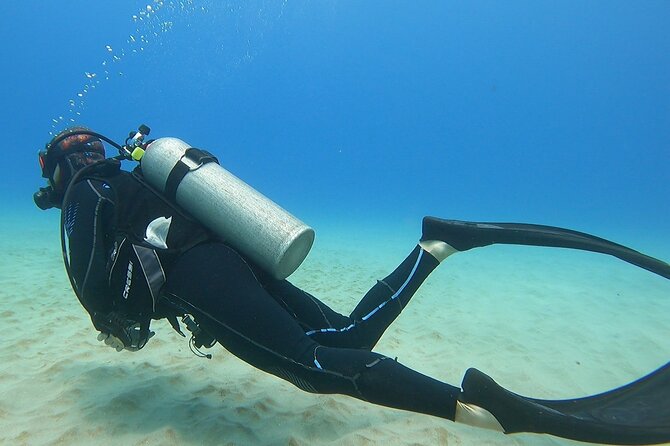 SCUBA Dive at Electric Beach with Photos -No Certification Needed - Is $130 a fair price?