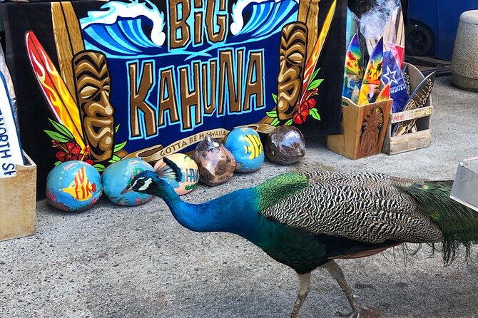 Sea / Eat & See The North Shore - Fruit stands and the flavors of rural Oahu