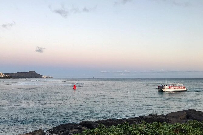 Sea Safari, Dolphins, Turtles and Waikiki Cruise - Whale season needs extra caution