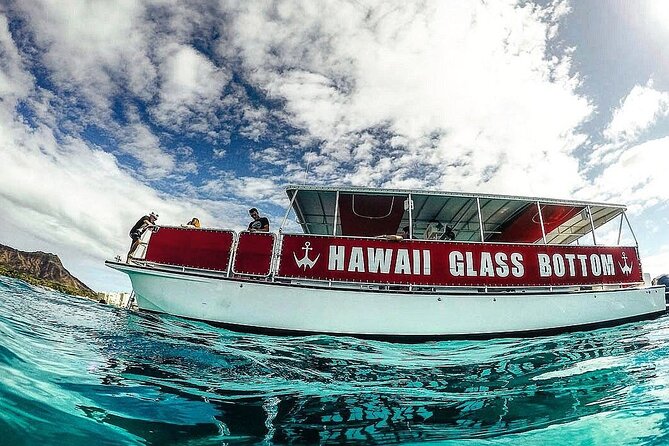 Sea Safari, Dolphins, Turtles and Waikiki Cruise - The Kewalo Basin departure gives you a useful harbor view