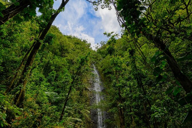Self guided Hike Trail to Nature Walk & Waterfall - Puʻu ʻUalakaʻa State Park and the Honolulu view