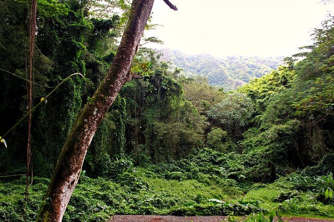 Self guided Hike Trail to Nature Walk & Waterfall - Timing, group size, and practical planning