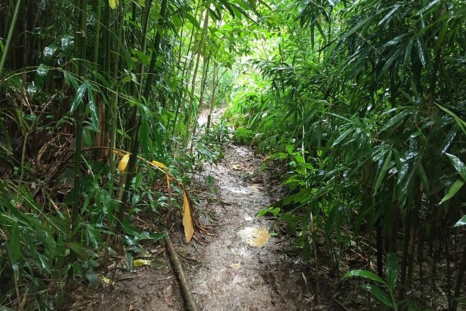Self guided Hike Trail to Nature Walk & Waterfall - Cancellation and weather concerns