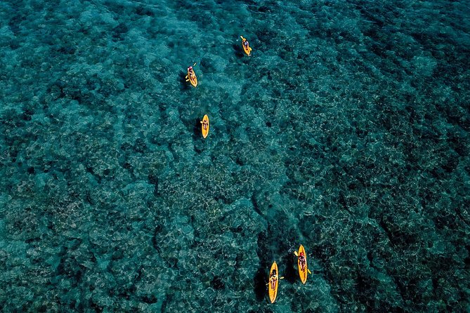 Self-Guided Kayaking Discovery in Kailua, Oahu - Starting at 130 Kailua Road