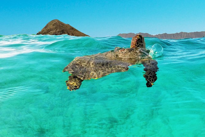 Self-Guided Kayaking Discovery in Kailua, Oahu - Snorkeling depends on wind, waves, and timing