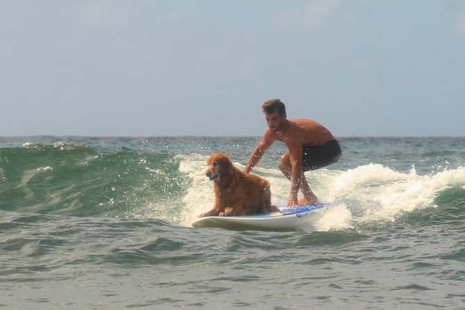 Semi-Private Surf Lesson - Meeting Hugo and the school’s relaxed teaching style