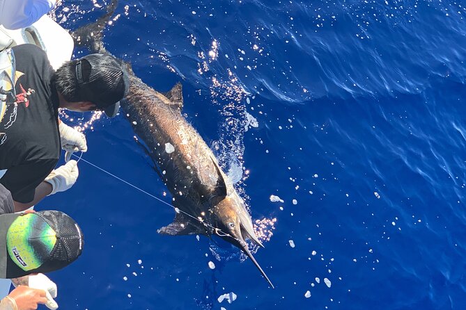Shared Deep Sea Full-Day Fishing Charter in Hawaiian Waters - Leaving Ala Moana at 5:00 am