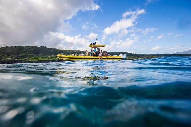 Shark-Dive Tour on Oahu's North Shore - The crew and the safety briefing